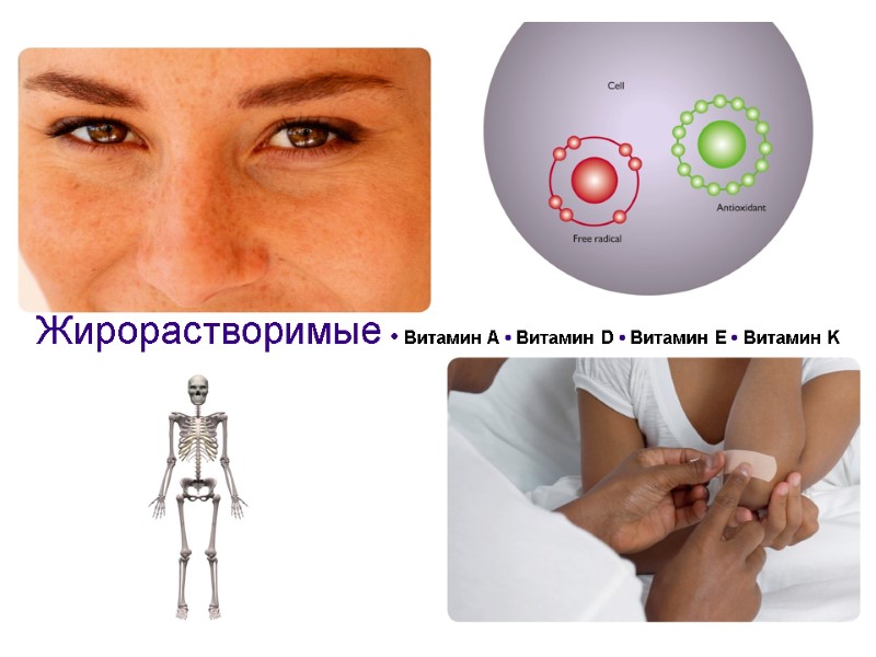 Жирорастворимые • Витамин A • Витамин D • Витамин E • Витамин K